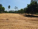 ขายที่ดิน - ที่ดินเปล่าแปลงสวย เขตห้วยใหญ่ พัทยา บางละมุง โซนทำเล EEC