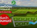 ขายที่ดิน - ขายที่ดินหมูสี ปากช่อง เขาใหญ่ โคราช แบ่งแปลงขายพร้อม สาธารณุปโภคพร้อม