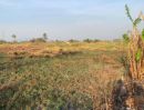 ขายที่ดิน - ขายที่ดินหนองขาม ศรีราชา ราคาดี เขตพื้นที่อุตสาหกรรม