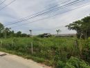 ขายที่ดิน - ขายที่ดินพัทยาหนองปรือ 1 ไร่ ติดถนน2ด้านซอยหนองไม้แก่น17 อ.บางละมุง ชลบุรี
