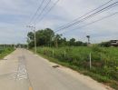 ขายที่ดิน - ขายที่ดินพัทยาหนองปรือ 1 ไร่ ติดถนน2ด้านซอยหนองไม้แก่น17 อ.บางละมุง ชลบุรี