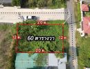 ขายที่ดิน - ขายถูกที่ดินแปลงเล็ก 60 ตรว.หมู่บ้านธารทอง ต.บางรักพัฒนา บางบัวทอง นนทบุรี