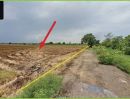 ขายที่ดิน - ขายที่สุด! ถูกที่ดินแปลงใหญ่ ติดถนนคลองสิบสอง หนองสามวัง หนองเสือ ปทุมธานี