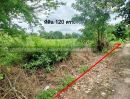 ขายที่ดิน - ขาย ที่ดิน 120 ตรว. 5 แสน!! ต.หมอนทอง อ.บางน้ำเปรี้ยว จ.ฉะเชิงเทรา ใกล้โรงเรียนวัดคลอง18 ห่างเขตหนองจอกประมาณ 33 k.m.