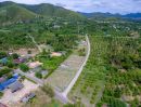ขายที่ดิน - ขายที่ดิน 340 ตร.ว. ห่างทะเลเพียง 15 นาที วิวภูเขา แปลงหัวมุม ต.หนองตาแต้ม อ.ปราณบุรี ประจวบคีรีขันธ์