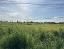 ขายที่ดิน - ขายที่ดิน 9ไร่ 2งาน 63ตร.ว. ติดถนนสุวินทวงศ์319 ปราจีนบุรี