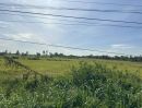 ขายที่ดิน - ขายที่ดิน 9ไร่ 2งาน 63ตร.ว. ติดถนนสุวินทวงศ์319 ปราจีนบุรี