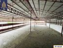 โรงงาน / โกดัง - ขาย/ให้เช่า ที่ดิน พร้อมโกดังโรงงาน พื้นที่สีส้ม บางนา กม.1 อุดมสุข ลาซาล