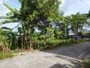 ขายที่ดิน - ขาย ที่ดินแปลงสวยสำหรับนักลงทุนและผู้ที่กำลังมองหาที่ดินเปล่า
