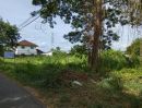 ขายที่ดิน - ขาย ที่ดินแปลงสวยสำหรับนักลงทุนและผู้ที่กำลังมองหาที่ดินเปล่า
