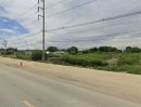 ขายที่ดิน - ขายที่ดินหนองจอก บางปะกง 3 ไร่ ซอยวัดพิมพาติดคลอง ติดถนน8เลนเส้นฉช.2004 ใกล้แยกเกาะไร่3กม. จ.ฉะเชิงเทรา