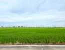 ขายที่ดิน - ที่ดินเปล่า 11-1-24 ไร่ คลองนิยมยาตรา บางบ่อ สมุทรปราการ