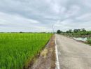 ขายที่ดิน - ที่ดินเปล่า 11-1-24 ไร่ คลองนิยมยาตรา บางบ่อ สมุทรปราการ