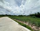 ขายที่ดิน - ขายที่ดินศรีราชา แปลงสวย ราคาดี ติดเส้นหลัก ศรีราชา-หนองค้อ 41/3