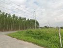 ขายที่ดิน - ขายที่ดินหนองเสือช้าง ท่าจาม 11 ไร่ ติดถนนชบ.3083 ติดถนนสาธารณะรอบด้าน ใกล้นิคมWHA3-5กม. อ.หนองใหญ่ ชลบุรี