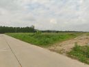 ขายที่ดิน - ขายที่ดินหนองเสือช้าง ท่าจาม 11 ไร่ ติดถนนชบ.3083 ติดถนนสาธารณะรอบด้าน ใกล้นิคมWHA3-5กม. อ.หนองใหญ่ ชลบุรี