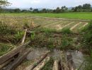 ขายที่ดิน - ทีาดินเปล่าเพื่อการเกษตรและอยู่อาศัยมีลำเหมือวผ้านที่ดิน