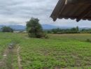 ขายที่ดิน - ทีาดินเปล่าเพื่อการเกษตรและอยู่อาศัยมีลำเหมือวผ้านที่ดิน