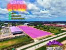 ขายที่ดิน - ขายที่ดินพื้นที่ศักยภาพสูง EEC | ขายที่ดินติดถนนสาย 36 | ขายที่ดินพื้นที่สีม่วง อ.-51
