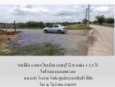 ขายที่ดิน - ขายที่ดิน ถ.5010 ไทรน้อย นนทบุรี มี 25 แปลง 1- 2.5 ไร่ เหมาะทำ โรงงาน โกดัง ศูนย์กระจายสินค้า ที่พัก ใกล้ อบต.หนองเพรางาย
