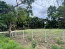 ขายที่ดิน - ขายที่ดินตำบลสุเทพติดถนนคันคลองใกล้มหาวิทยาลัยเชียงใหม่