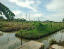 ขายที่ดิน - ขายที่ดินสวยราคาถูก ติดคลองใหญ่ น้ำไม่ท่วม มีน้ำประปา มีไฟฟ้าเข้าถึง