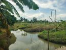 ขายที่ดิน - ขายที่ดินสวยราคาถูก ติดคลองใหญ่ น้ำไม่ท่วม มีน้ำประปา มีไฟฟ้าเข้าถึง