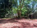 ขายที่ดิน - ขายถูกมาก!! ที่ดิน 291.5 ตร.ว. ทำเลทอง อ.บางละมุง จ.ชลบุรี ใกล้มอเตอร์เวย์ มาบประชัน หาดพัทยา สยามคันทรีคลับ
