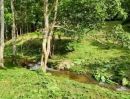 ขายที่ดิน - ขายที่ดินแม่ออนติดลำธารน้ำไหลผ่านใกล้ชิดธรรมชาติ