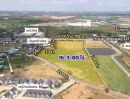 ขายที่ดิน - ที่ดิน นครปฐม หนองพงนก ราคาพิเศษ ไร่ละ 2.9 ล้านบาท ต่อรองได้