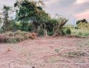 ขายที่ดิน - ขายที่ดินเปล่า ขนาด 334 ตร.วา ต.หนองโน อ.เมือง จ.สระบุรี