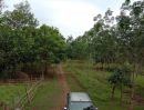ขายที่ดิน - ขายที่ดินสวนยาง แปลงใหญ่ 62 ไร่เศษ ที่นครพนม