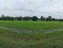 ขายที่ดิน - ขายที่นา 33 ไร่ บ้านส้มโฮง สุวรรณภูมิ ร้อยเอ็ด ราคาถูก 180,000/ไร่