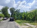 ขายที่ดิน - ขายด่วน ที่ดินติดคลองบางระมาด3 ตรงข้าม พาซิโอ กาญจนา ถมแล้ว