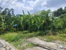 ขายที่ดิน - ขายด่วน ที่ดินติดคลองบางระมาด3 ตรงข้าม พาซิโอ กาญจนา ถมแล้ว