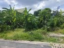 ขายที่ดิน - ขายด่วน ที่ดินติดคลองบางระมาด3 ตรงข้าม พาซิโอ กาญจนา ถมแล้ว