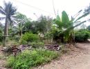 ขายที่ดิน - ขายที่ดินแปลงสวย ติดห้วย ติดภูเขา บางพระ ศรีราชา ทำเลดี ราคาถูก