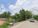 ขายที่ดิน - ขายที่ดินคลองห้าถมแล้ว 200 ตรว. ซอยโรงเรียนทีปังกรวิทยาพัฒน์ ใกล้ถนนเส้น3010-300เมตร อ.คลองหลวง ปทุมธานี