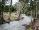 ขายที่ดิน - ขายที่ดินติดลำธารน้ำวิวธรรมชาติปราจีนบุรีพร้อมโอน