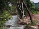 ขายที่ดิน - ขายที่ดินติดลำธารน้ำวิวธรรมชาติปราจีนบุรีพร้อมโอน