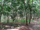 ขายที่ดิน - ที่ดินแปลงใหญ่ พร้อมสวนยาง อำเภอสอยดาว จันทบุรี 58-3-30 ไร่