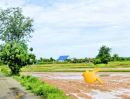 ขายที่ดิน - ที่นาแปลงสวย ใกล้ถนนสายหลัก อ.นางรอง บุรีรัมย์