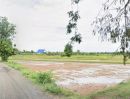 ขายที่ดิน - ที่นาแปลงสวย ใกล้ถนนสายหลัก อ.นางรอง บุรีรัมย์