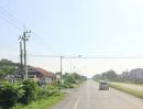 ขายที่ดิน - ที่นาแปลงสวย ใกล้ถนนสายหลัก อ.นางรอง บุรีรัมย์