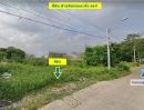 ขายที่ดิน - ขายที่ดินทำเลดี ย่านศรีนครินทร์ ติดถนน 2 ด้าน ห่าง BTSศรีแบริ่ง 400 เมตร 2ไร่ สำโรงเหนือ อำเภอเมือง สมุทรปราการ