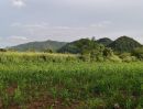 ขายที่ดิน - ราคาร้อน ขายถูก ที่ดินเขาใหญ่ เขาวง หนองน้ำแดง ปากช่อง 6.5ไร่ ที่สวย ติดถนนลาดยาง วิวเขาสวยล้อม ใกล้ธนะรัชต์ ศูนย์ผู้นำซีพี มอเตอร์เวย์ แม็คโคร อุทยาน