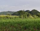 ขายที่ดิน - ราคาร้อน ขายถูก ที่ดินเขาใหญ่ เขาวง หนองน้ำแดง ปากช่อง 6.5ไร่ ที่สวย ติดถนนลาดยาง วิวเขาสวยล้อม ใกล้ธนะรัชต์ ศูนย์ผู้นำซีพี มอเตอร์เวย์ แม็คโคร อุทยาน