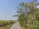 ขายที่ดิน - ขายที่ดินหนองหงษ์ 2 ไร่ ติดถนนคอนกรีต ใกล้ถนนเส้นชบ.3023-200เมตร อ.พานทอง ชลบุรี