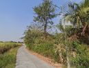 ขายที่ดิน - ขายที่ดินหนองหงษ์ 2 ไร่ ติดถนนคอนกรีต ใกล้ถนนเส้นชบ.3023-200เมตร อ.พานทอง ชลบุรี