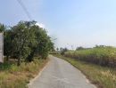 ขายที่ดิน - ขายที่ดินหนองหงษ์ 2 ไร่ ติดถนนคอนกรีต ใกล้ถนนเส้นชบ.3023-200เมตร อ.พานทอง ชลบุรี